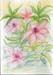 Bild16 Blumen
