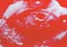 Standke_Rote_Hund_2