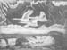 Boeckmann2